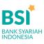 bsi